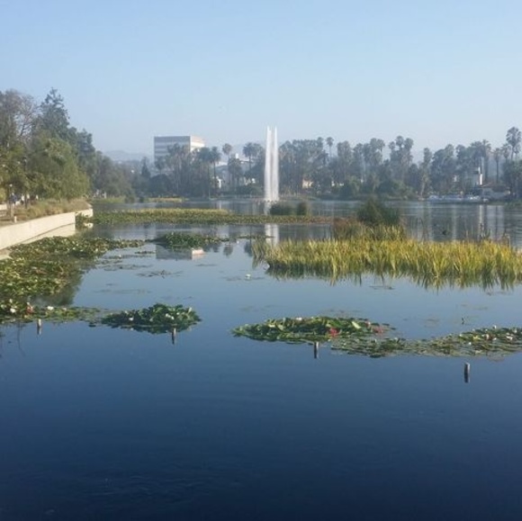 Meet your Posher, Cruz - Picture 1 of 1